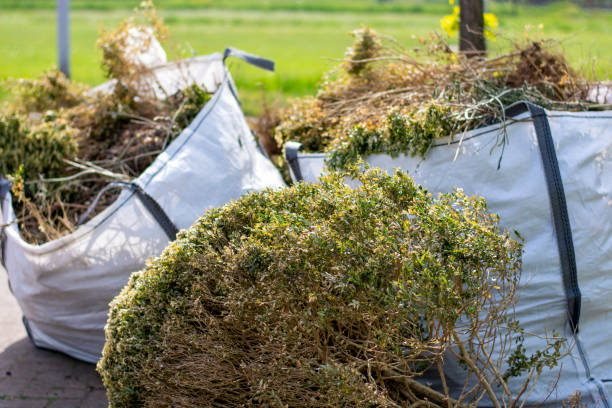Best Office Junk Removal  in Franklin Furnace, OH