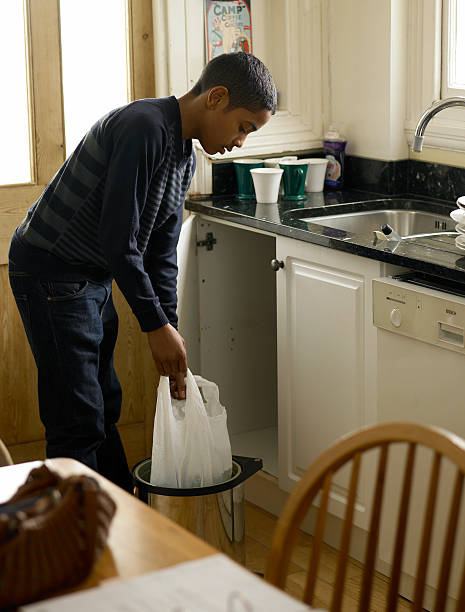 Yard Cleanup Services in Franklin Furnace, OH